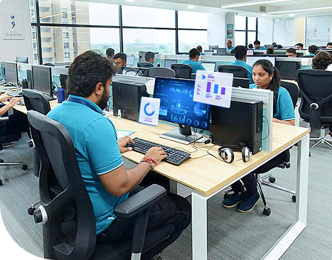 Advanced Big Data Analytics Capabilities 