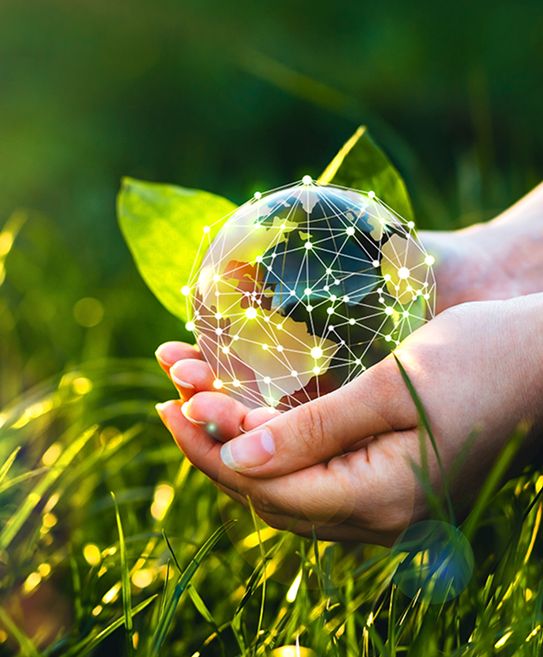 Cleantech Software Solutions