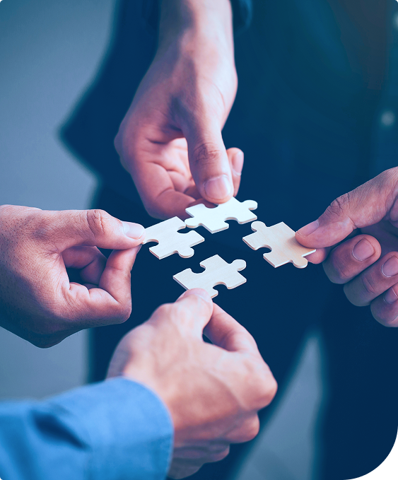 Empowering Action with Data Clarity