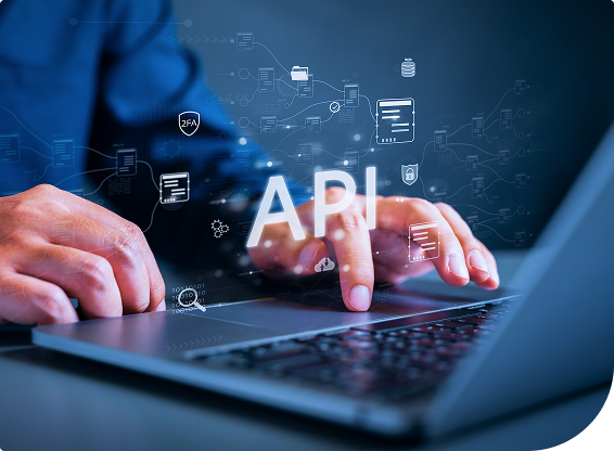 Custom API Integration for All Systems