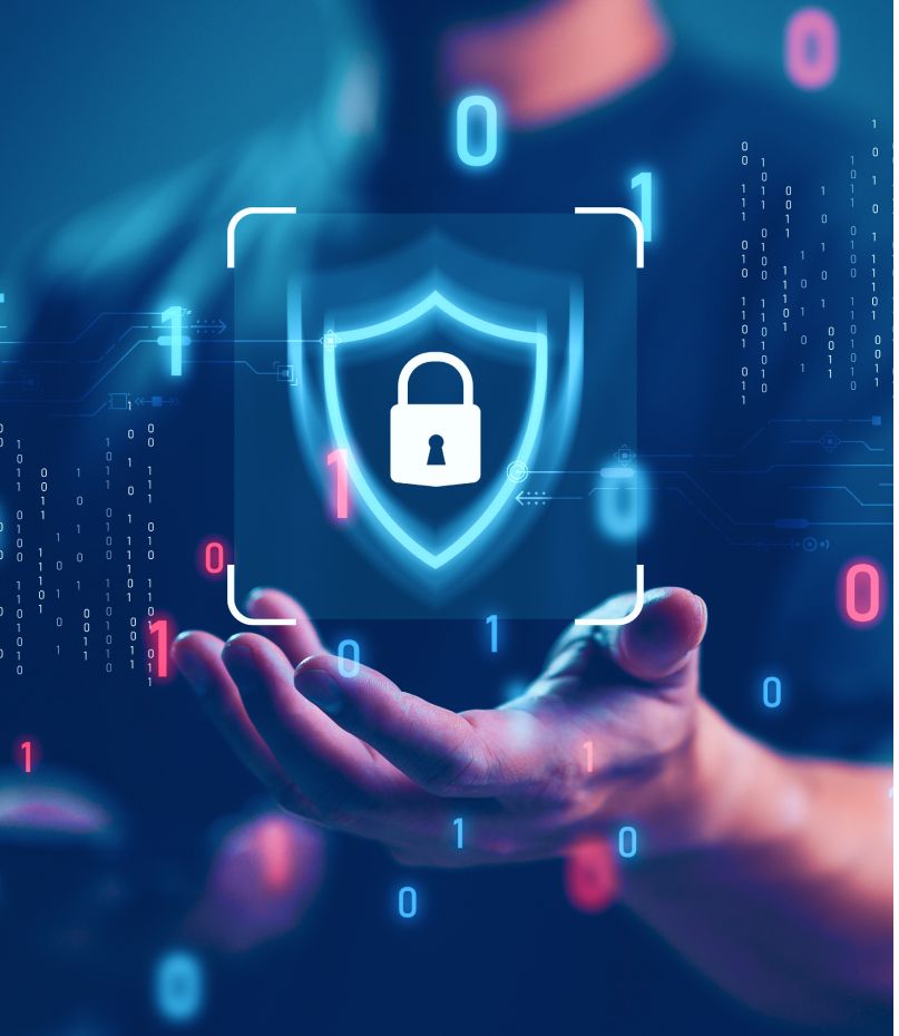 Secure Data Governance Solutions 