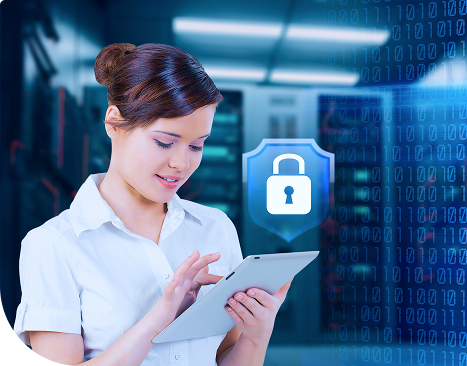 Insurance Risk Assessment Tools