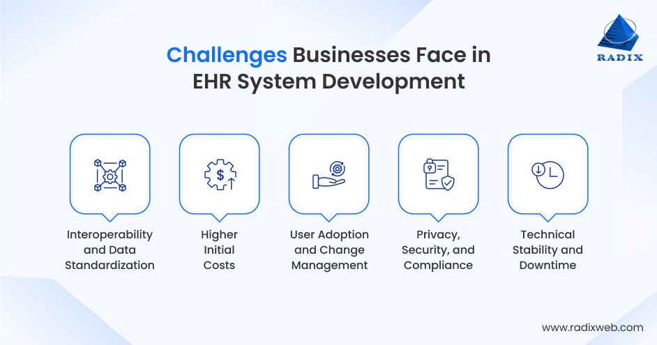 Common EHR System Implementation Challenges