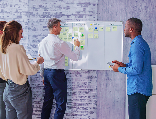 Ideal Software Development Strategy