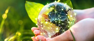 CleanTech Software Engineering Expertise