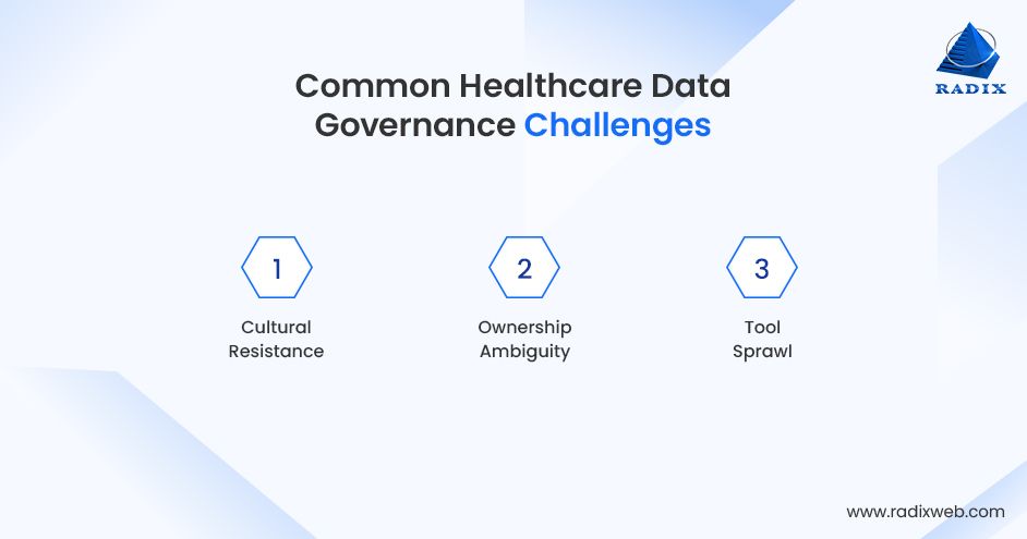 Common Obstacles in Healthcare Governance Data