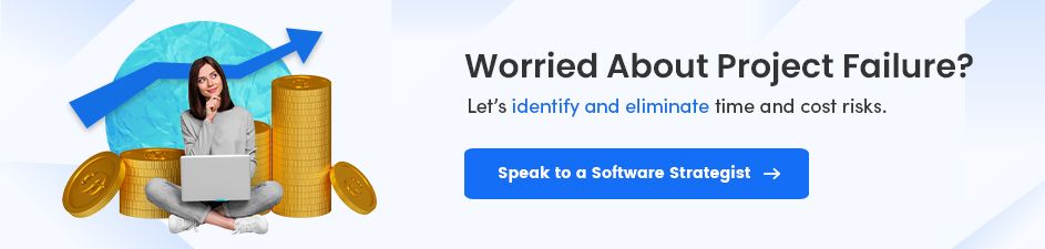 Software Strategist for Project Success