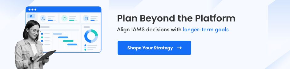 Software Consulting for IAMS Strategy