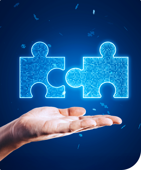Tech Partnership for Platform Rebuild 