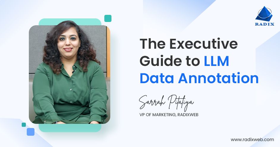 C-suite Guide to LLM Data Annotation