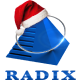 Logo of Radixweb – An IT Software and App Development Company