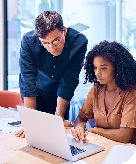 Professional MCP Integration Services